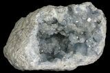 Celestine (Celestite) Geode ( Lbs) - Madagascar #136278-1